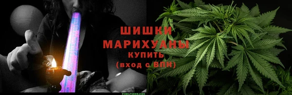 трава Балахна